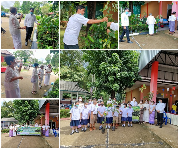 โครงการปลูกต้นไม้อนุรักษ์ธรรมชาติและรักษาสิ่งแวดล้อม ประจำปีงบประมาณ 2565 (กิจกรรมมอบต้นไม้)