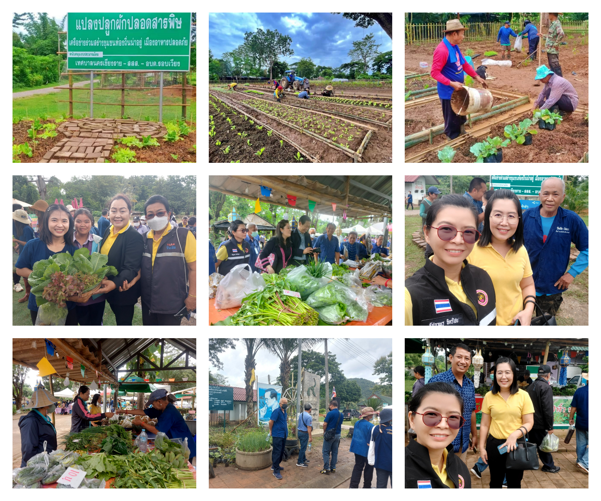 งานเปิดตลาดผักและแปลงสาธิตเกษตรปลอดภัย กับโครงการพัฒนานครเชียงรายสู่เมืองแห่งความสุข 3 มิติ