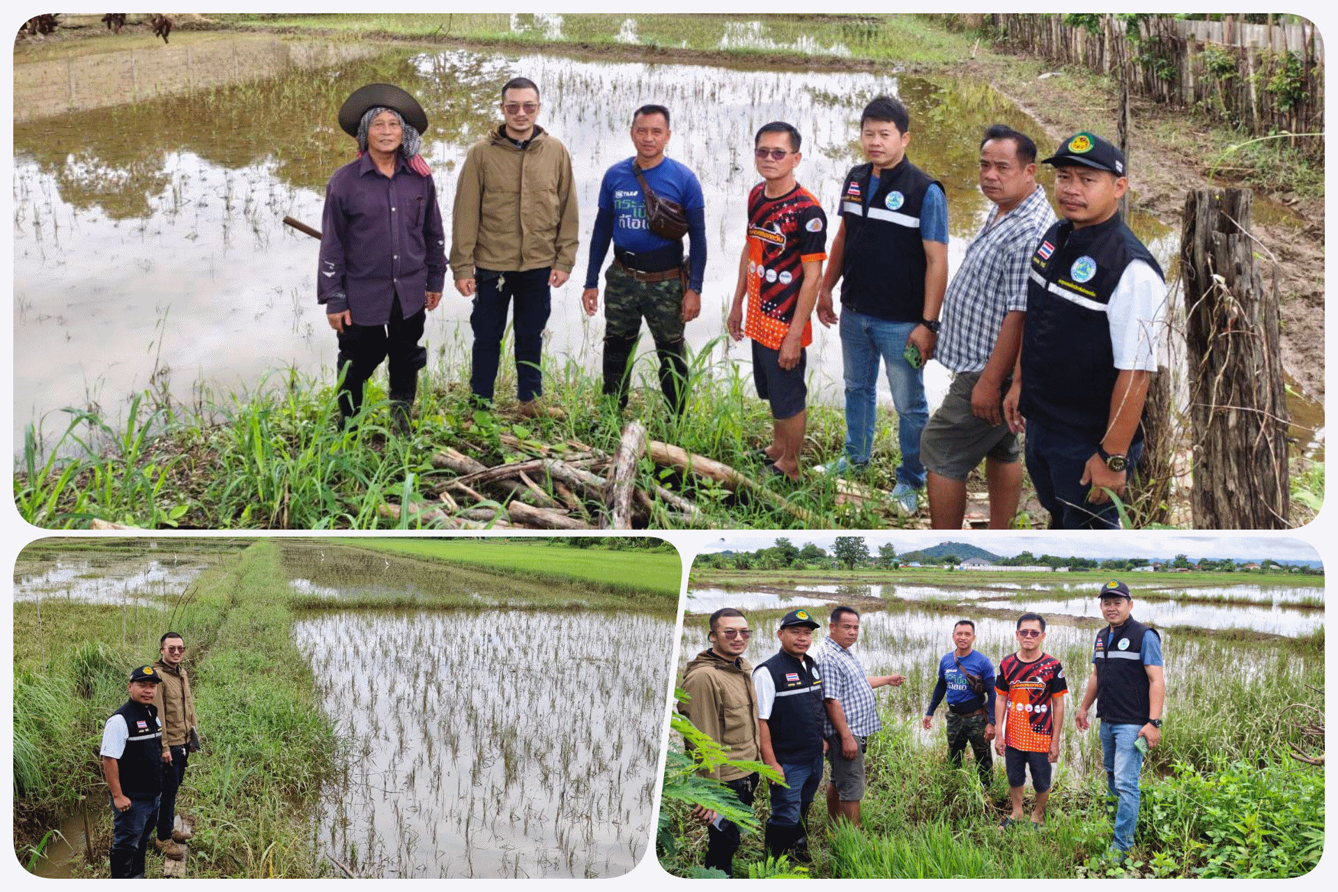 งานป้องกันและบรรเทาสาธารณภัย ลงพื้นที่สำรวจความเสียหายทางการเกษตรจากน้ำท่วม ร่วมกับฝ่ายปกครอง สมาชิกสภาองค์การบริหารส่วนตำบลรอบเวียง ณ บ้านหนองด่าน หมู่ที่ 1