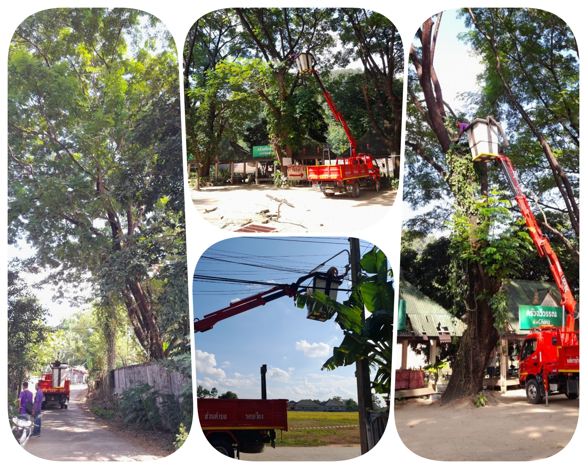 กองช่าง ดำเนินการซ่อมแซมไฟกิ่ง  หัวฝาย  หมู่ที่ 1 ในวันที่ 7 พฤศจิกายน 2566