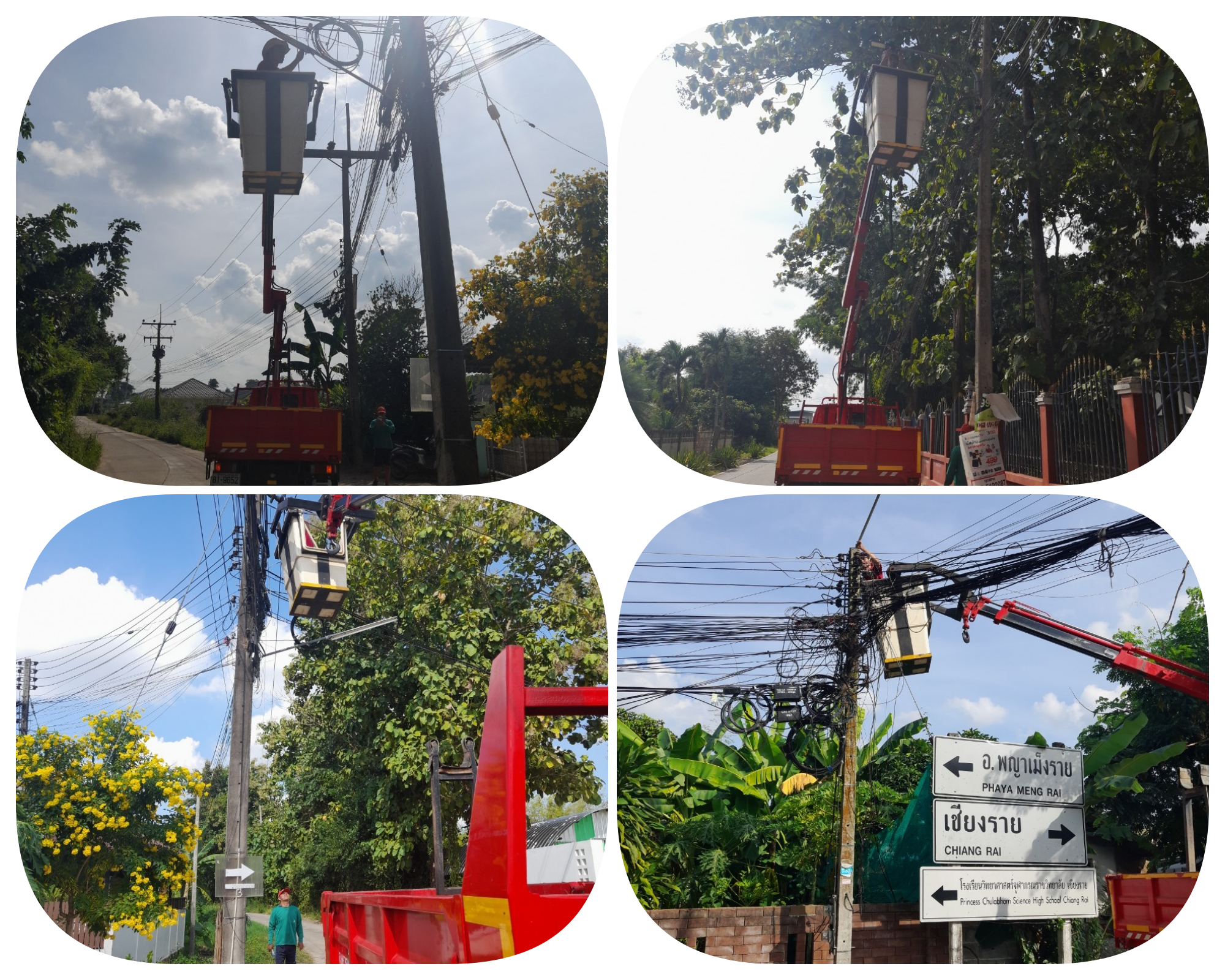 กองช่าง  ดำเนินการซ่อมไฟกิ่ง  หมู่ที่ 5 บ้านป่ายางมนใหม่  และเพิ่มไฟกิ่ง  หมู่ที่ 2 บ้านป่ายางมน  ในวันที่  9  พฤศจิกายน  2566