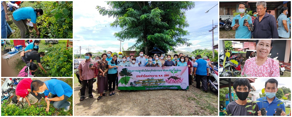 โครงการปลูกต้นไม้อนุรักษ์ธรรมชาติและรักษาสิ่งแวดล้อม ปี 2563