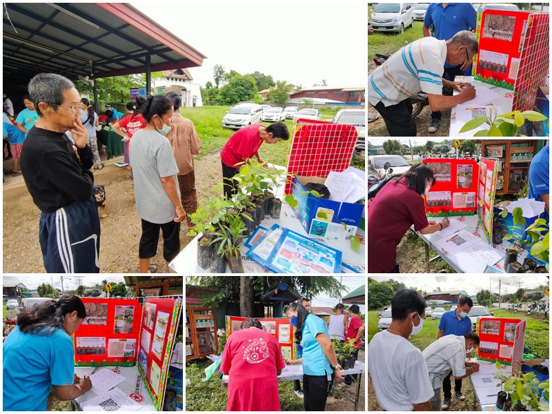 นิทรรศการดิน ประจำปี 2563