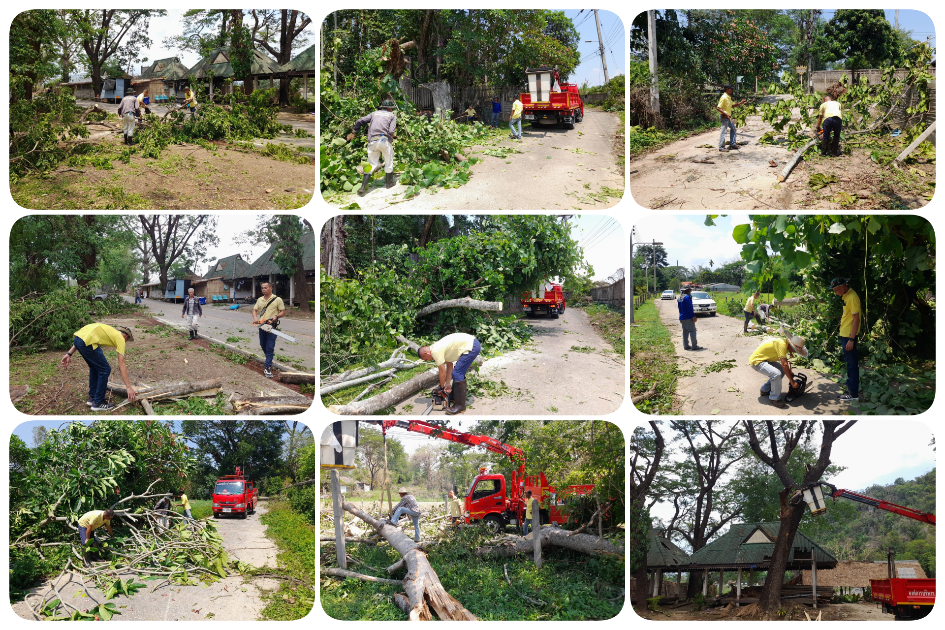 งานป้องกันบรรเทา สาธารณภัย  ดำเนินการลงพื้นที่ตัดต้นไม้ที่หักโค่นเพราะโดนลมบริเวณหาดเชียงราย 