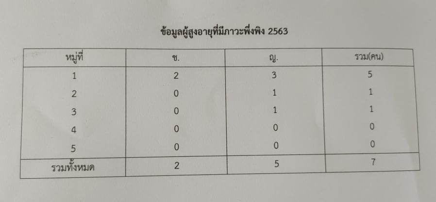 ข้อมูลผู้สูงอายุที่มีภาวะพึ่งพิง  ประจำปี 2563