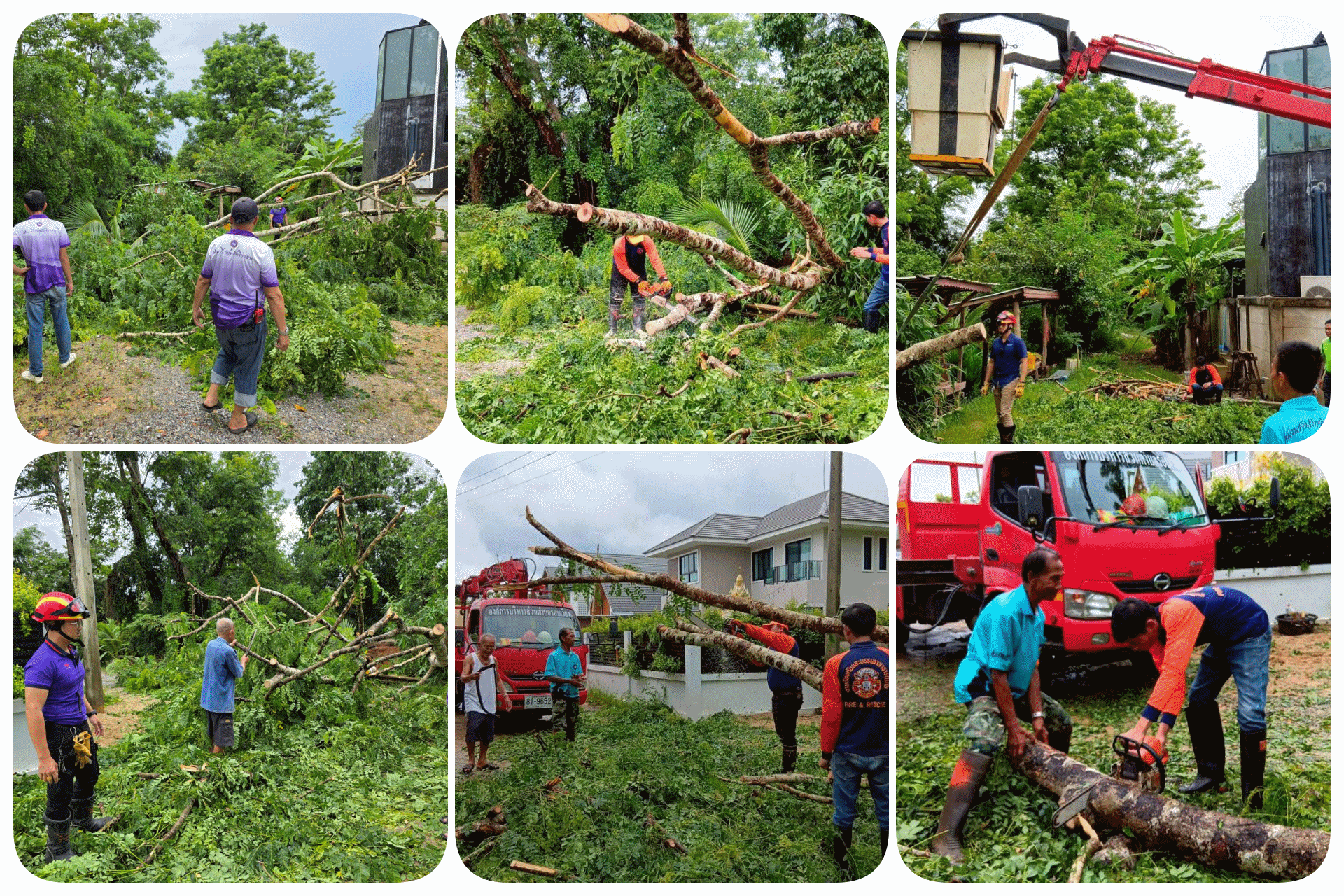 งานป้องกันและบรรเทาสาธารณภัย ออกพื้นที่ตัดกิ่งไม้ขวางทางจราจร บริเวณซอย 6 บ้านป่ายางมน หมู่ที่ 2