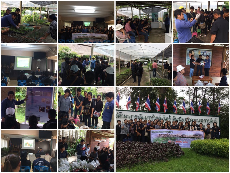 โครงการอบรมเชิงปฏิบัติการเศรษฐกิจพอเพียงตามแนวพระราชดำริ ประจำปี2560