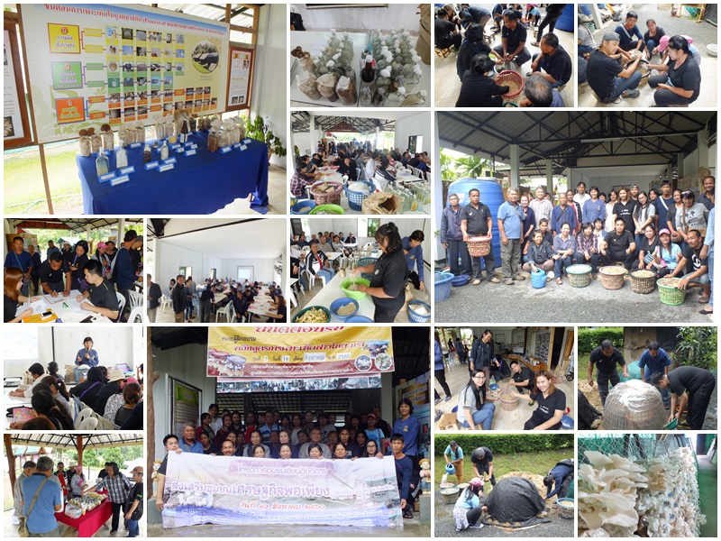 โครงการอบรมเชิงปฏิบัติการส่งเสริมชุมชนเศรษฐกิจพอเพียง ประจำปี 2560