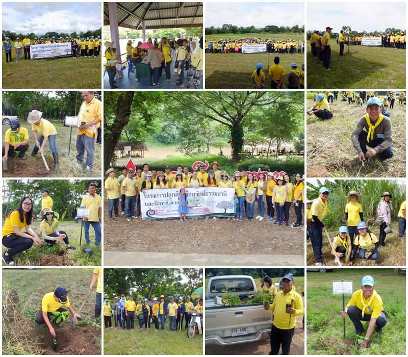 โครงการปลูกต้นไม้อนุรักษ์ธรรมชาติและรักษาสิ่งแวดล้อม ประจำปี 2561