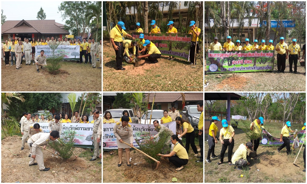 โครงการปลูกต้นไม้อนุรักษ์ธรรมชาติและรักษาสิ่งแวดล้อม ประจำปี 2562