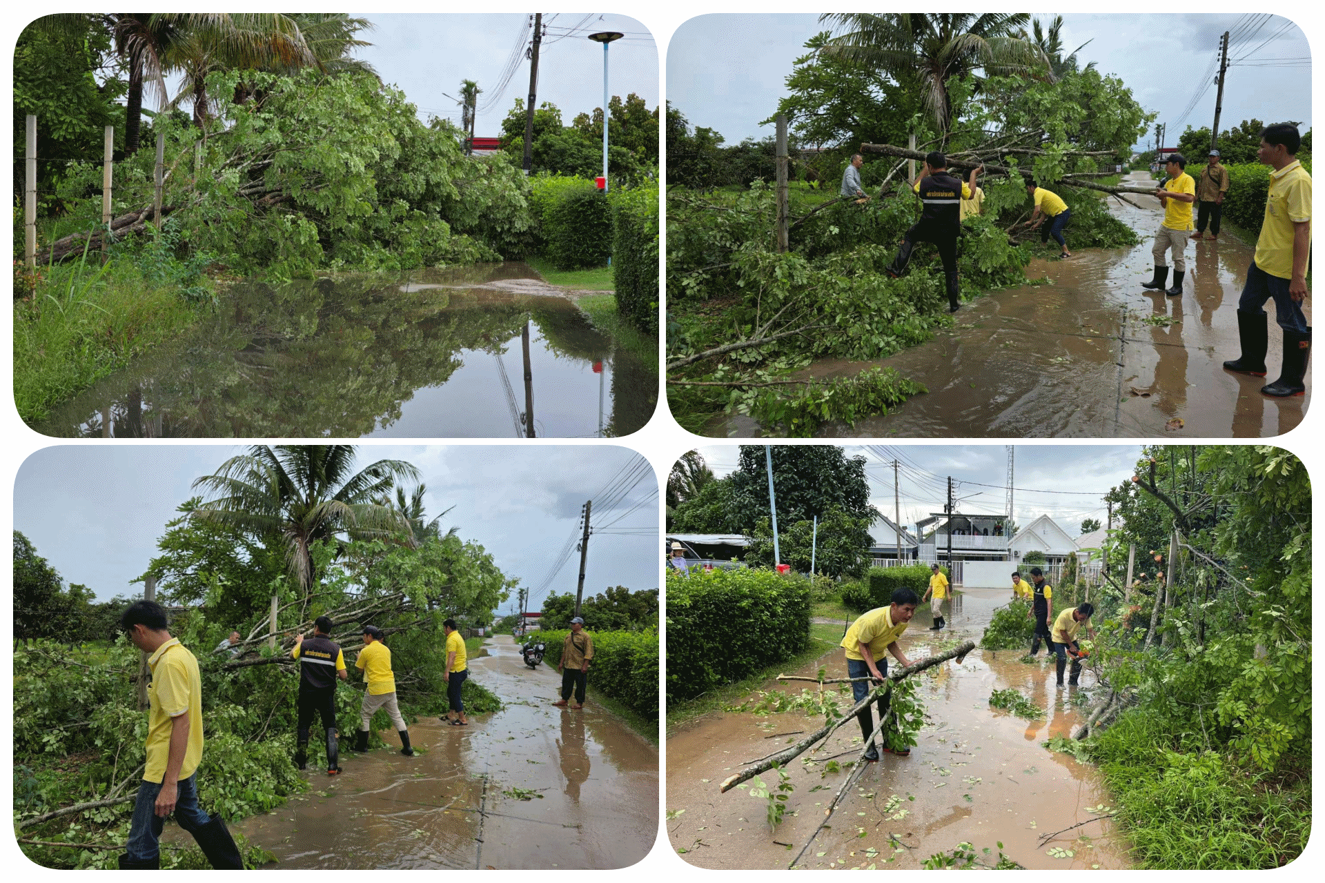 งานป้องกันสาธารณภัย ดำเนินการออกปฏิบัติการตัดกิ่งต้นไม้ที่ล้มขวางทางบนถนนบริเวณทุ่งสันรวม หมู่ที่ 5 บ้านป่ายางมนใหม่ 