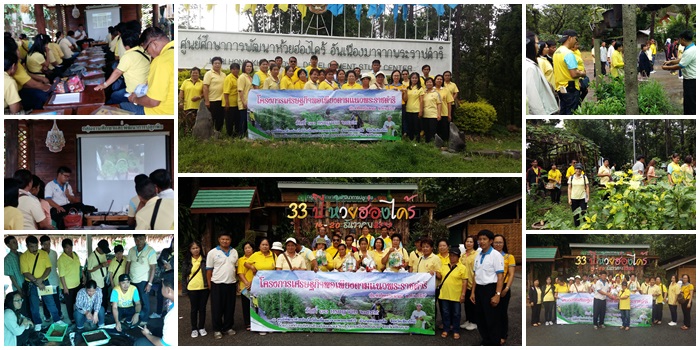 โครงการเศรษฐกิจพอเพียงตามแนวพระราชดำริ (ปลูกผัก)