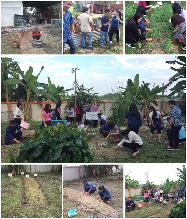 โครงการสวนผักสวนครัวสร้างความสัมพันธ์ในองค์กร ประจำปี 2562