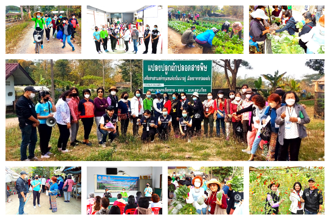 อบต.รอบเวียงและศูนย์เกษตรบ้านป่างิ้ว ม.4 ต.รอบเวียง ต้อนรับคณะศึกษาดูงาน นักศึกษาจากมหาวิทยาลัยวัยที่สามนครเชียงราย