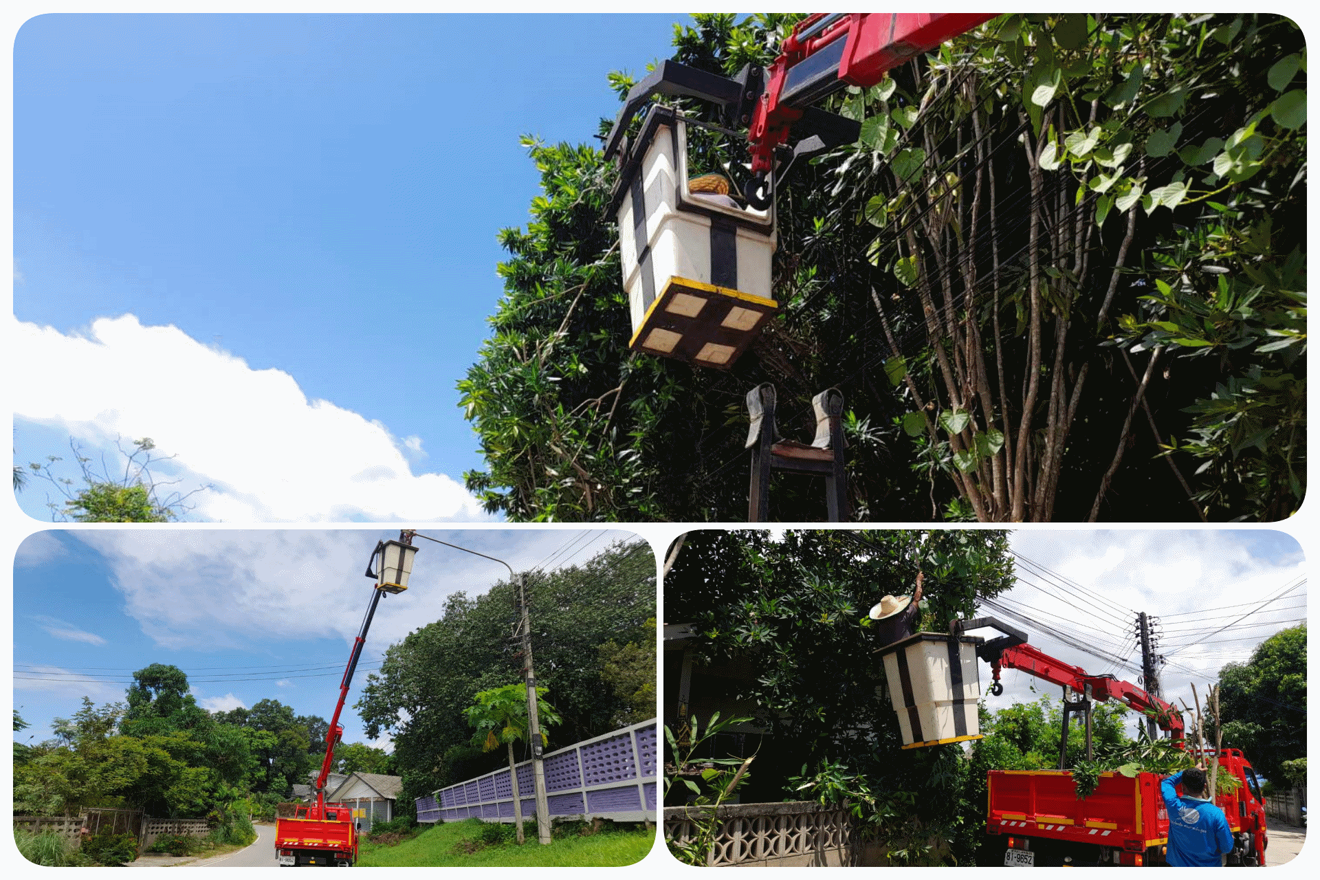 กองช่าง  ดำเนินการซ่อมไฟกิ่งและตัดแต่งกิ่งไม้ใกล้สายไฟ หมู่ 5 บ้านป่ายางมนใหม่